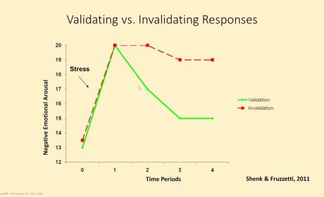 Racism is an extreme invalidating environment Racism is an extreme invalidating environment